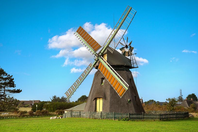 Windmühle, Nebel, Amrum, Deutschland von Alexander Ludwig