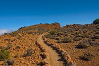 Mountain trail in Teide National Park, Tenerife