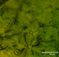 Where colours come together