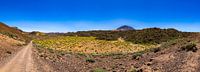 Weg nach Teide