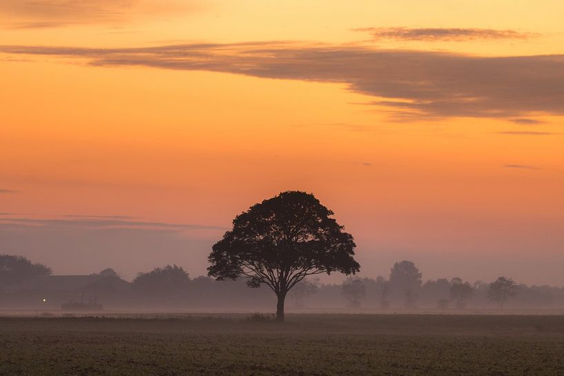 La campagne frisonne près du village de Minnertsga par Goffe Jensma