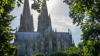 Cologne Cathedral among the trees in the park