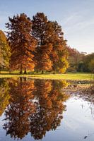 Herbst-Reflexion