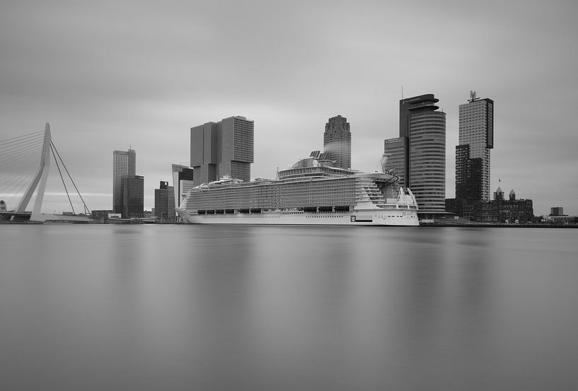 Harmony of the seas aan de Wilhelminapier van Ilya Korzelius