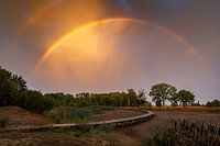Regenbogen über Torwoud