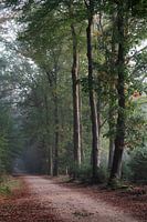 Vormittag auf dem Sysselt