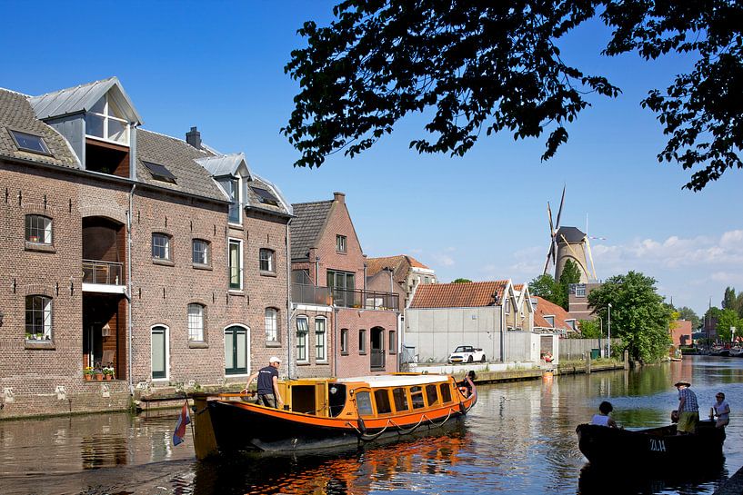 Gouda, The Vest by Hermen Buurman