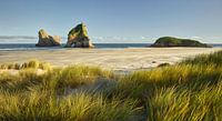 Wharariki Beach