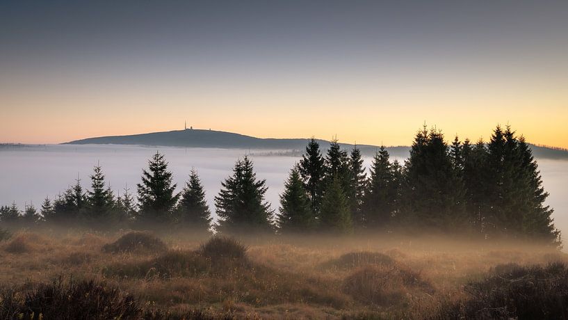 Early morning fog in the Harz Mountains by Steffen Henze