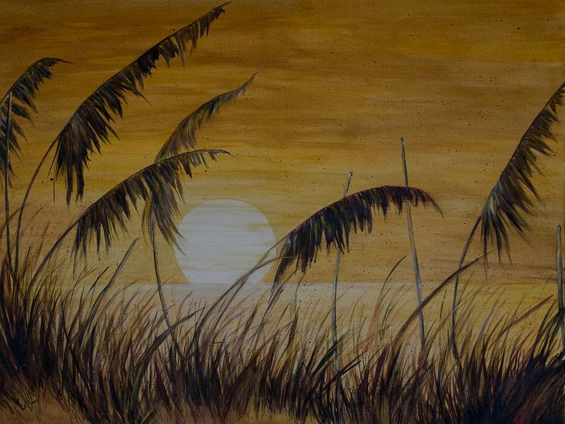 Sun Song by Christine Nöhmeier