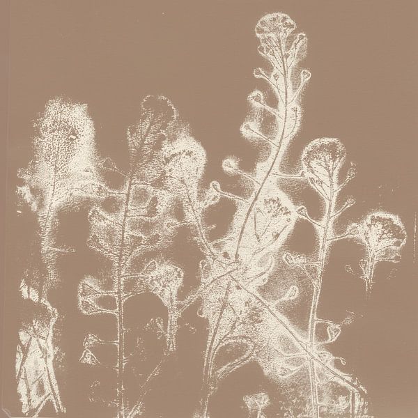 White flowers. Japandi botanical art in brown and white. by Dina Dankers