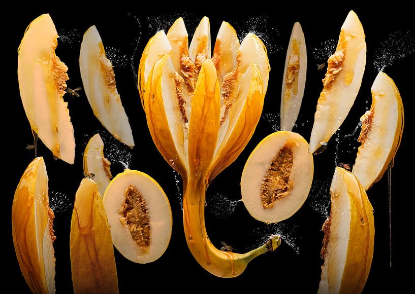 Cucumis melo (Honigmelone) von Olaf Bruhn