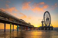 Sous la promenade de bois