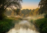 Sonnenaufgang über den Rieselfeldern in Münster, Nordrhein-Westfalen