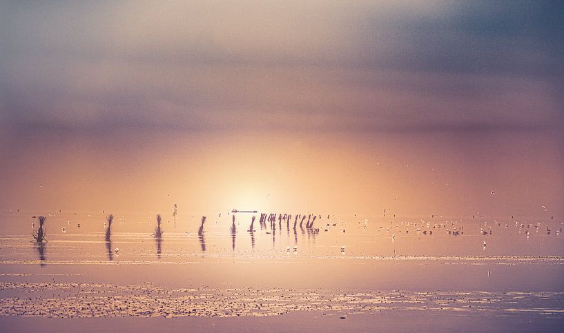 Strand von Cuxhaven an der deutschen Nordseeküste. LIchtblick von Jakob Baranowski - Photography - Video - Photoshop