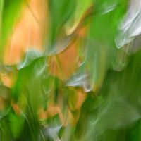 green and yellow in motion 3