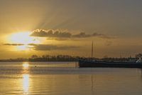 Stillleben auf dem Wasser