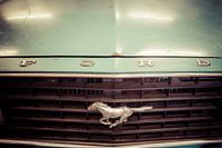 Detail Motorkap grille Ford Mustang classic oldtimer