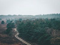 Dawn over the Veluwe