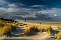 Une lumière parfaite