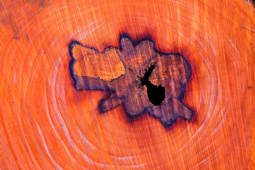 De kern van een boomstam, met groeiringen. von Marian Klerx