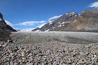 Athabasca-Gletscher Kanada