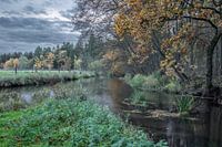 Confluence of two heath streams