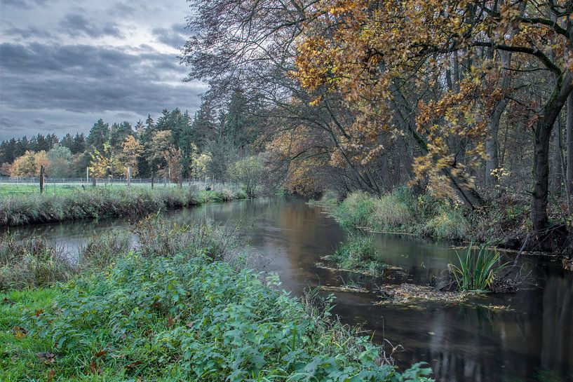 Samenloop van twee heidebeekjes van Jürgen Eggers