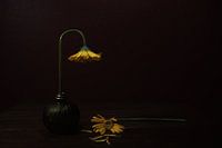 Tod eines Verwandten