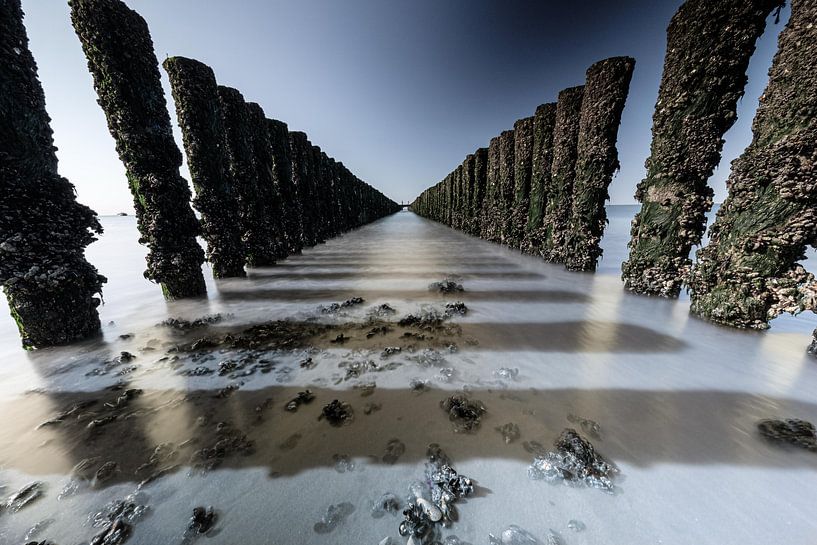 Meerblick vom Strand aus von Eddy Westdijk