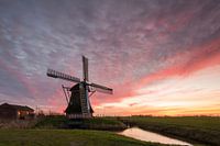 Sonnenaufgang Kloostermolen Groningen