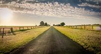 Long roads in Koroit Country in Victoria, Australia