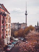 Blüten am ehemaligen Berliner Mauerstreifen Bornholmer Straße