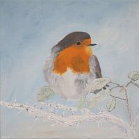 Robin in Wintertime