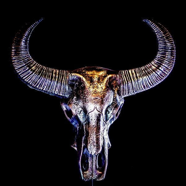 Schädelfarbe. von Frank Slaghuis