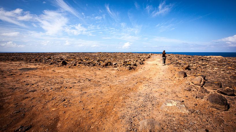 Zuid-westelijke kust van Lanzarote par Victor van Dijk