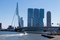 Skyline-Blick Rotterdam