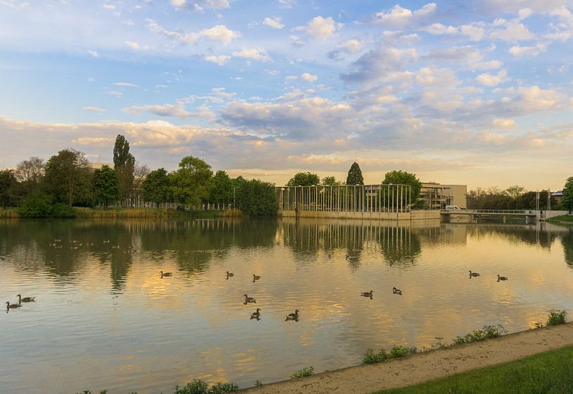 Der Park von Böblingen am Morgen von Andreas Marquardt