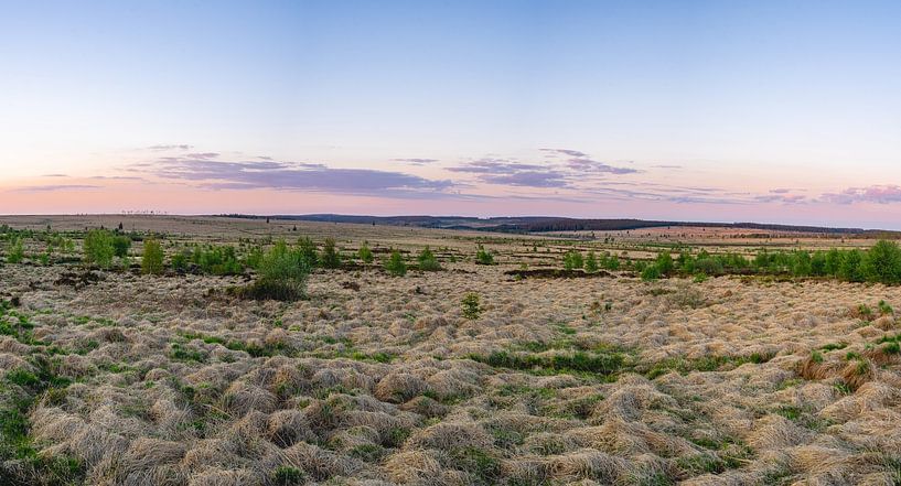 Hoher Venn Belgien von Sonny Vermeer