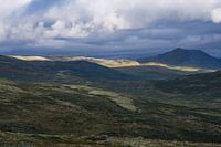 Dovrefjell
