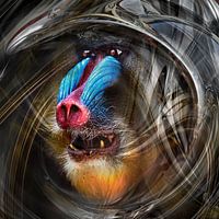 Weltraum Astro Mandrill