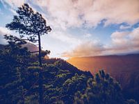 La Palma - Caldera de Taburiente