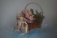 Stillleben Ballettschuhe