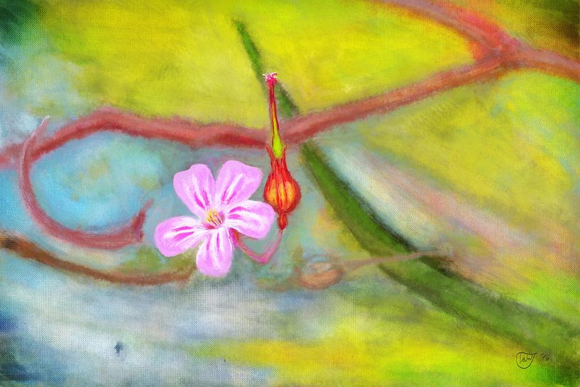 The Storkbill by Mandy Tabatt