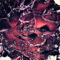 Michael Detter - Rozen1