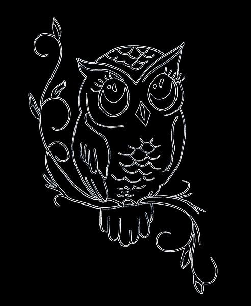 Owl (dessin) et l'a édité numériquement. par Jose Lok