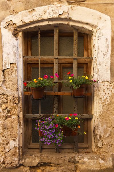Vieille fenêtre avec des fleurs par Anja B. Schäfer