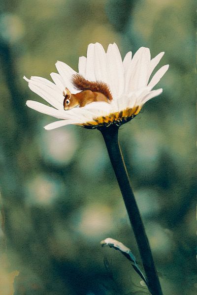 Adventures of the littlest squirrel by Studio Mirabelle