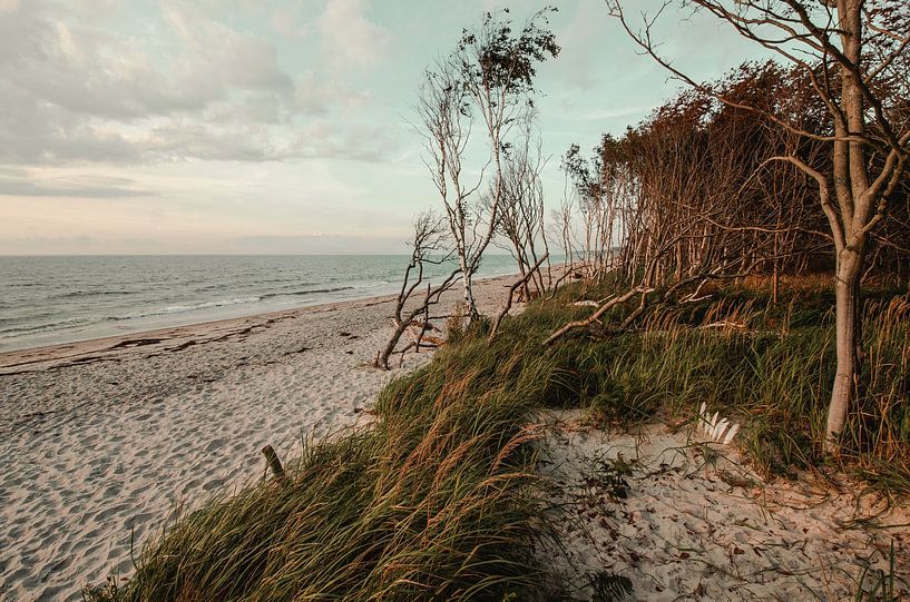 West Beach Baltic Sea by Steffen Gierok