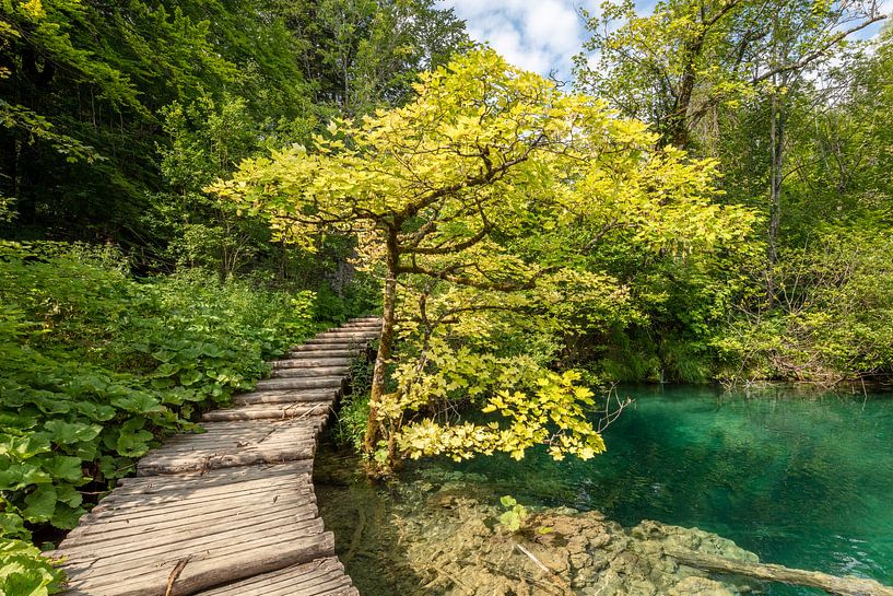 Le parc national des lacs de Plitvice au centre de la Croatie par Joost Adriaanse